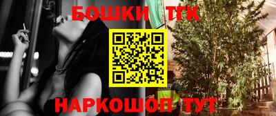 шишки Ставрополь