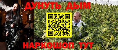 шишки Ставрополь