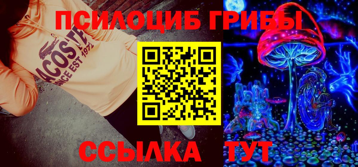 Псилоцибиновые грибы прущие грибы Амурск